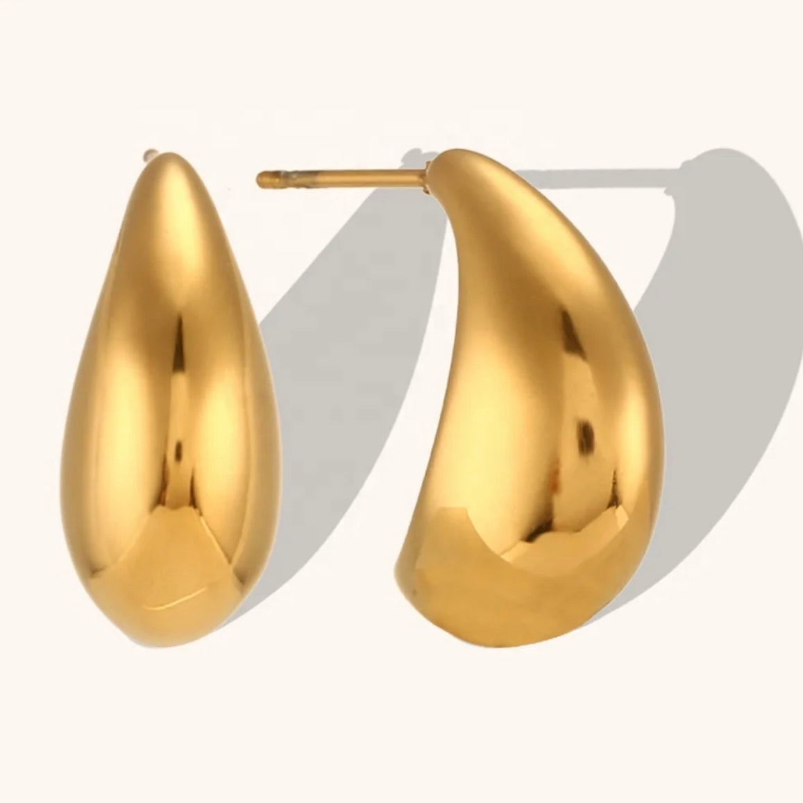 Venetta's Drop Earrings