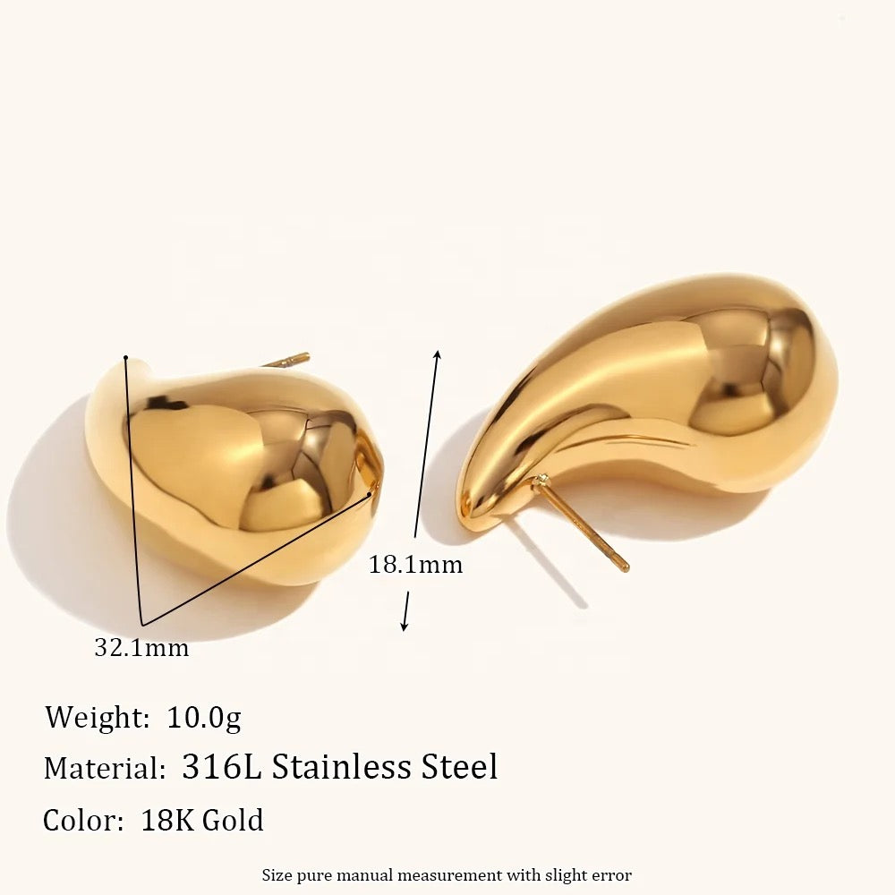 Venetta's Drop Earrings